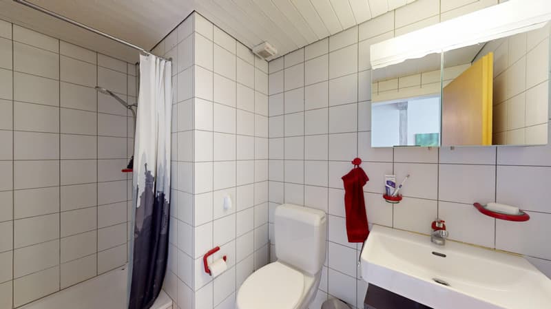 Studio avec mezzanine, idéal pour investisseur (6)