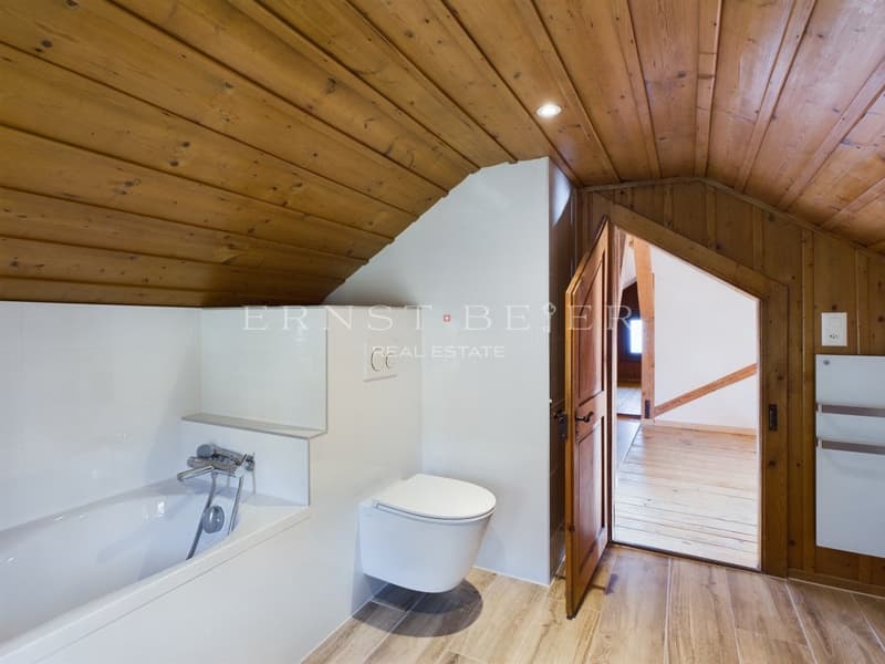 Belle maison de maître entièrement rénovée - 2 appartements (10)