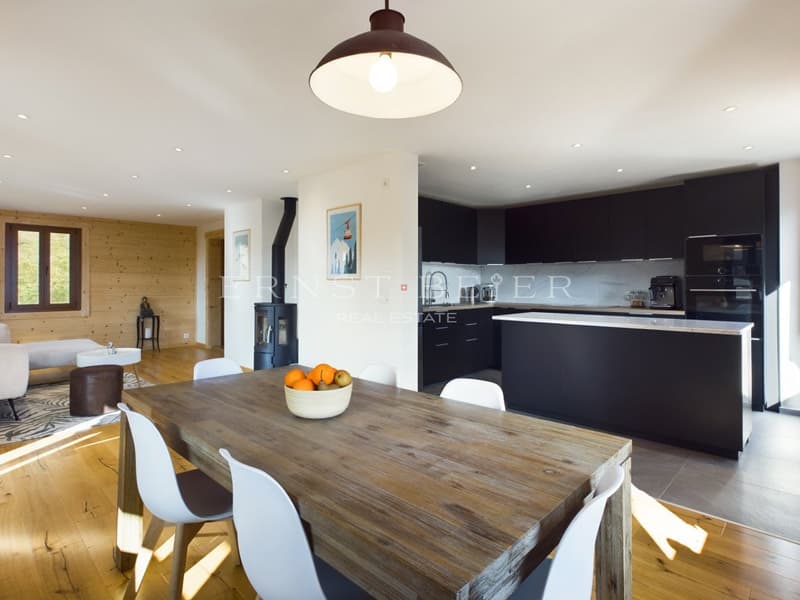 Belle maison de maître entièrement rénovée - 2 appartements (2)