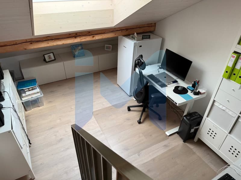 RAVISSANT DUPLEX 3.5 PIÈCES RÉNOVÉ EN 2025, AU COEUR DE LA NATURE (4)