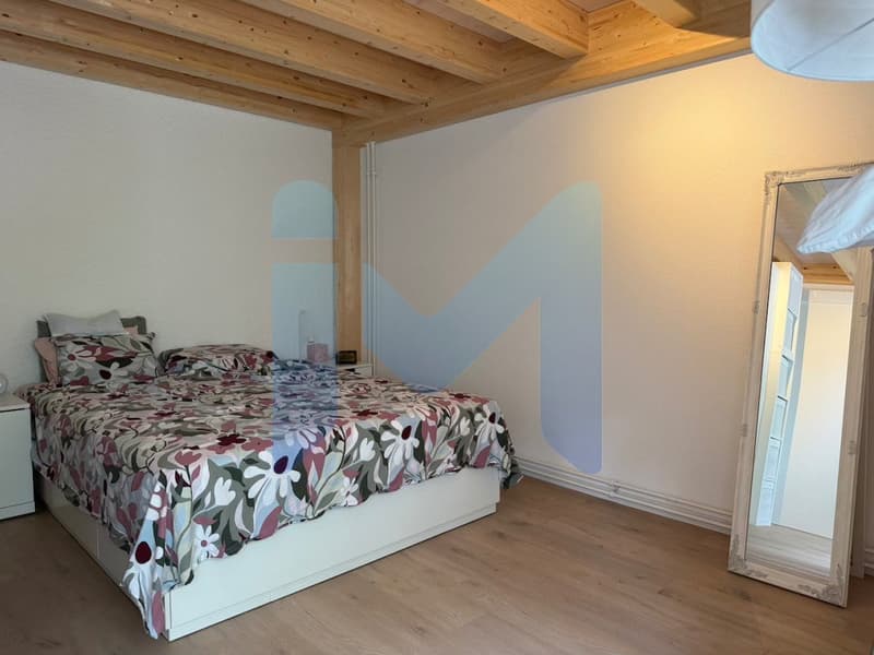 RAVISSANT DUPLEX 3.5 PIÈCES RÉNOVÉ EN 2025, AU COEUR DE LA NATURE (6)