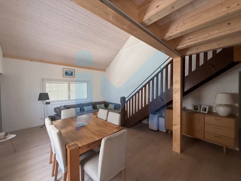 RAVISSANT DUPLEX 3.5 PIÈCES RÉNOVÉ EN 2025, AU COEUR DE LA NATURE (2)