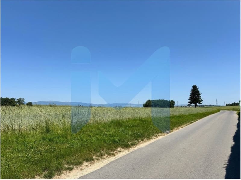 RAVISSANT DUPLEX 3.5 PIÈCES RÉNOVÉ EN 2025, AU COEUR DE LA NATURE (12)