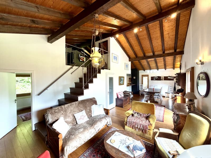 CHALET INDIVIDUEL AVEC VUE EXCEPTIONNELLE ET SANS VIS-À-VIS A BASSE NENDAZ (9)