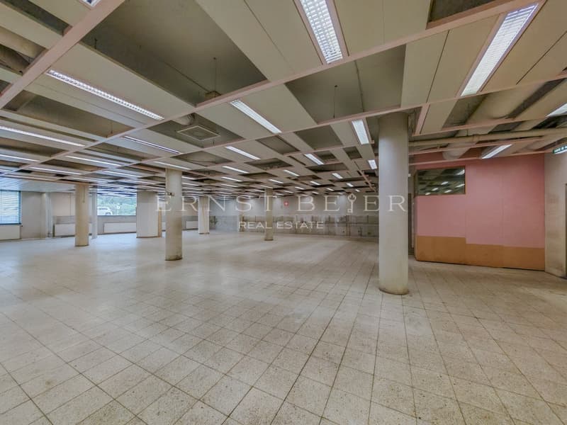 Grande surface commerciale aux pieds des pistes (3)