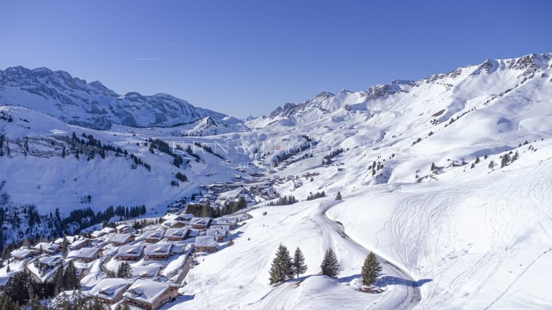 Magnifique chalet de montagne avec vue imprenable (1)