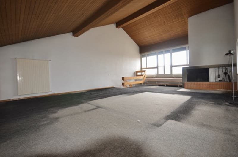 Duplex de 5.5. pièces avec vue (4)