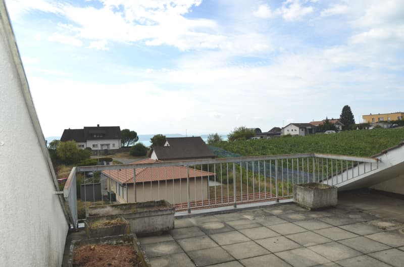 Duplex de 5.5. pièces avec vue (9)