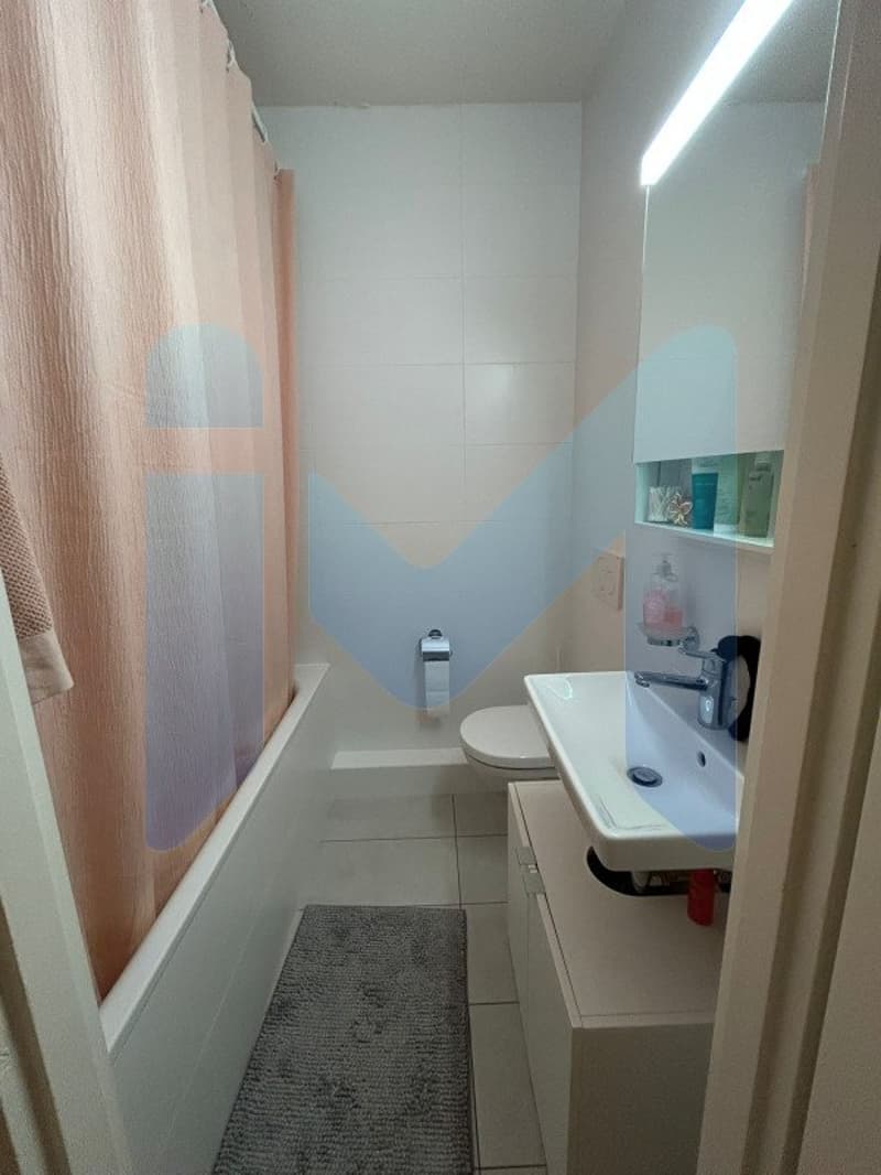 Appartement de 3 pièces au 9ème étage situé à Onex 1213 (6)