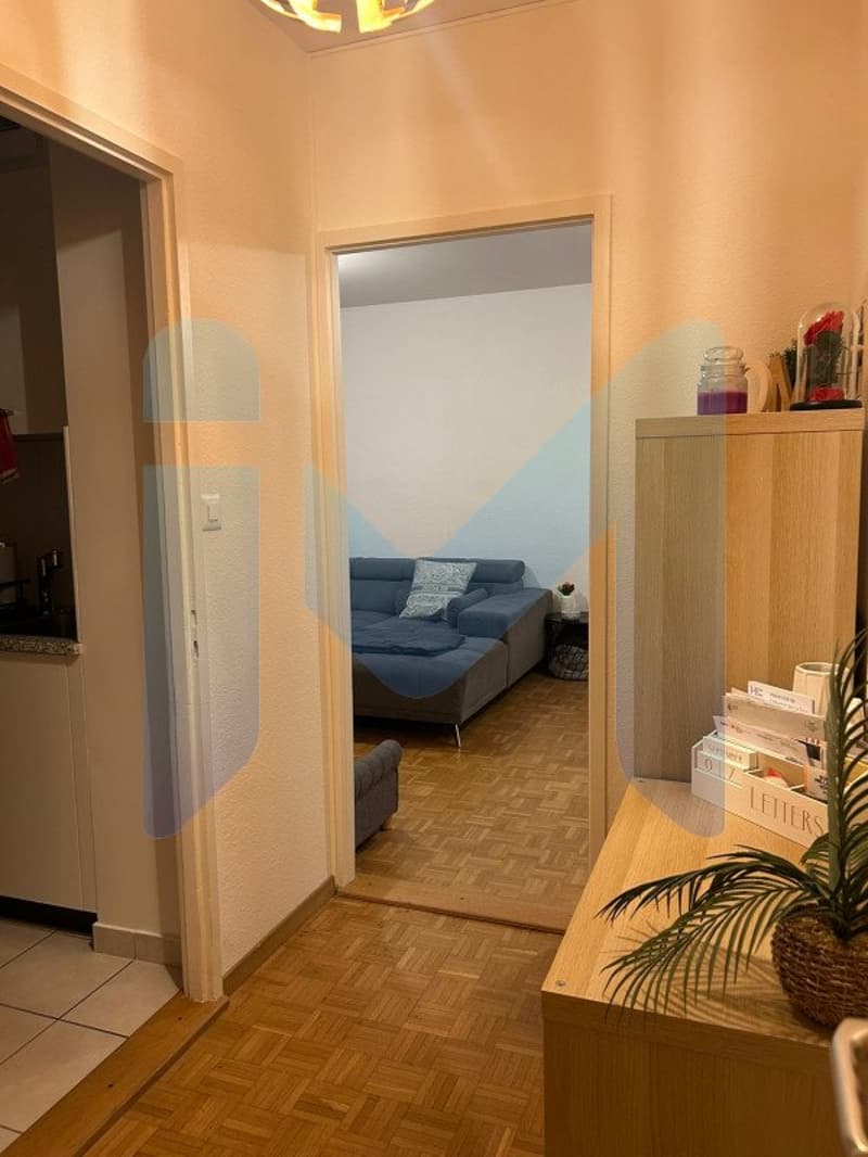 Appartement de 3 pièces au 9ème étage situé à Onex 1213 (3)