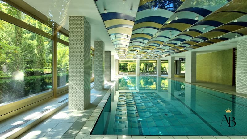 luxueux Appartement vue lac, Eléganterésidence avec piscine intérieure & jacuzzi (10)