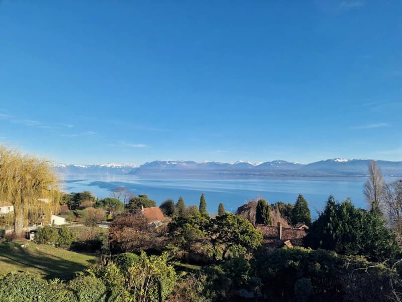 En exclusivité, Abby Bryand immobilier : Formidable maison vue lac à Buchillon (2)
