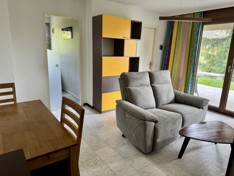 Magnifique 2 pièce meublé avec terrasse de 57m2 à deux min du lac/St-Sulpice VD (4)