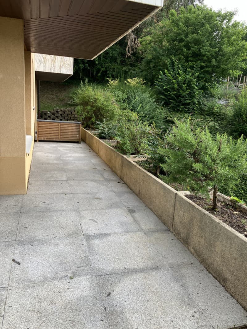 Magnifique 2 pièce meublé avec terrasse de 57m2 à deux min du lac/St-Sulpice VD (10)