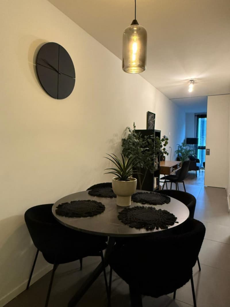 Sous-location meublée à Morges - 3,5 pièces avec parking (6)