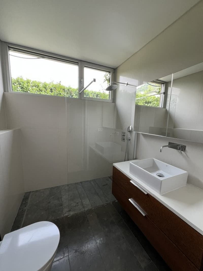 Belle et très spacieuse villa d'architecte, 12 pces, 2800 m2 terrain intimiste, (5)
