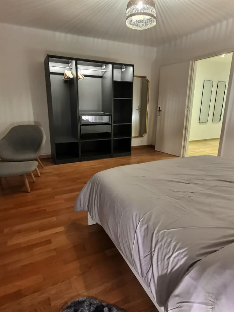 Cocon en plein centre de Lausanne, St-François (9)