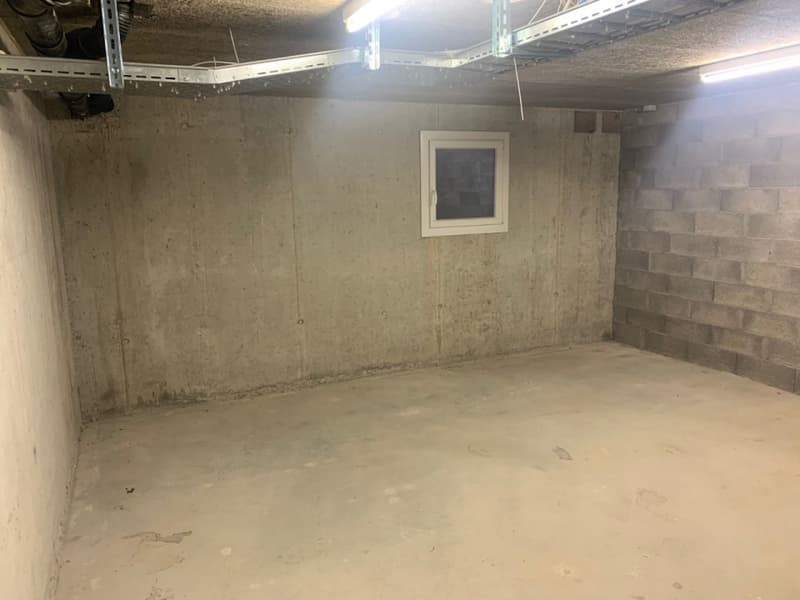 Grand Local de stockage de 28m2 (2)