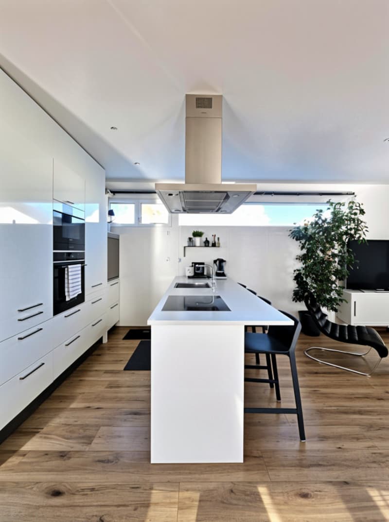Villa contemporaine avec vue sur les montagnes, Bellevue (3)