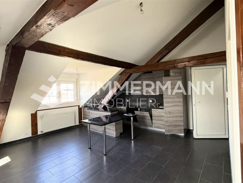 Très beau loft lumineux et au calme, proche du centre d'Orbe (2)