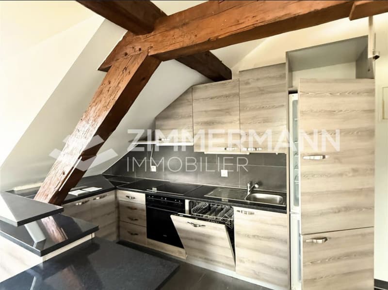 Très beau loft lumineux et au calme, proche du centre d'Orbe (4)