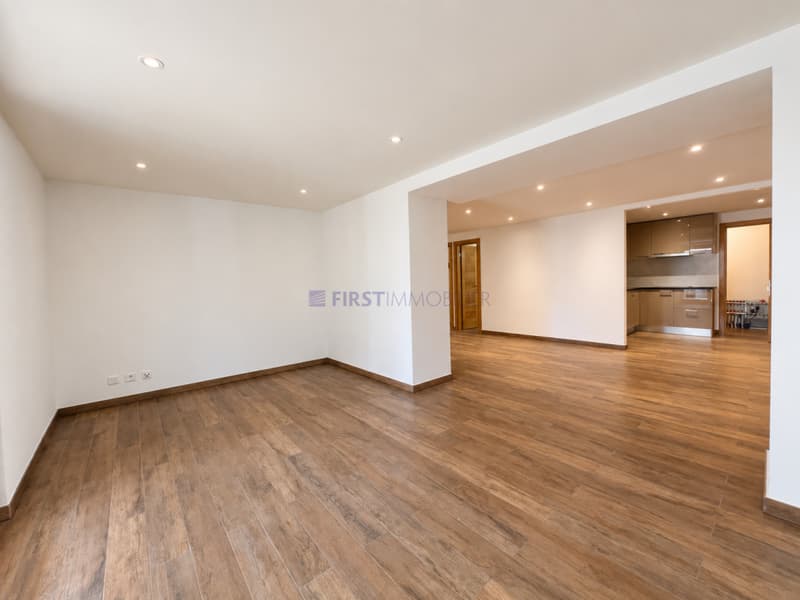 Villars - Chesières - PPE LOT P - CHF 585''000.- (3)