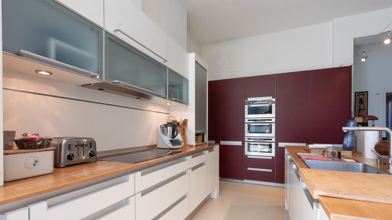Loft avec jardin grand comme une maison + 4 parking. À 20 min du Flon (4)