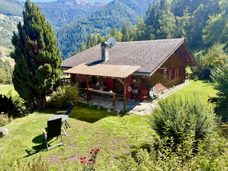 CHALET INDIVIDUEL AVEC VUE EXCEPTIONNELLE ET SANS VIS-À-VIS A BASSE NENDAZ (1)