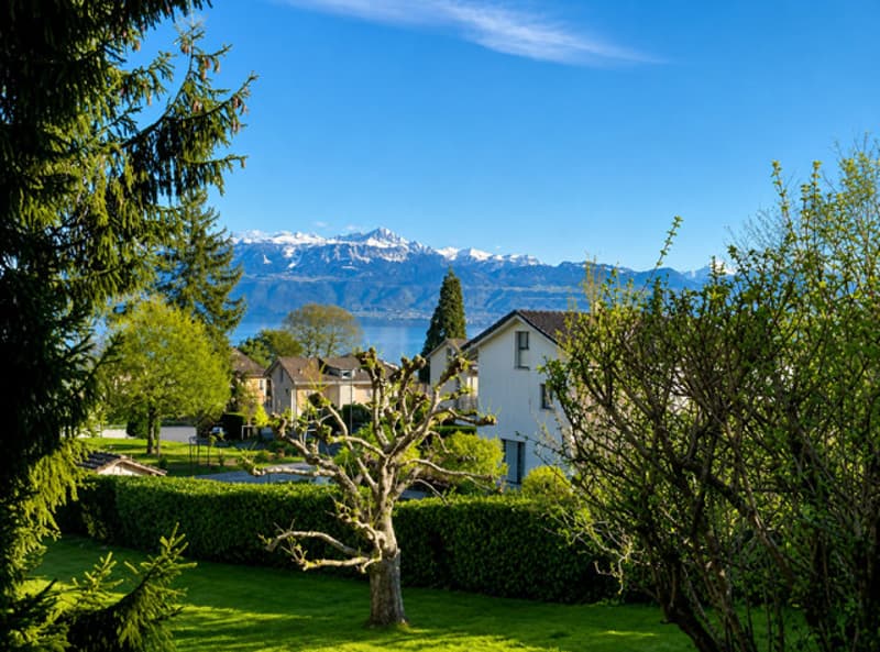 Magnifique 2 pièce meublé avec terrasse de 57m2 à deux min du lac/St-Sulpice VD (1)