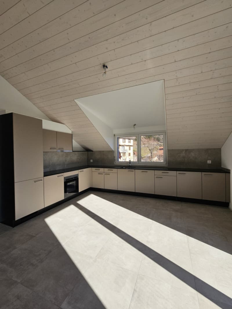 Magnifique appartement de 4.5 pièces (2)