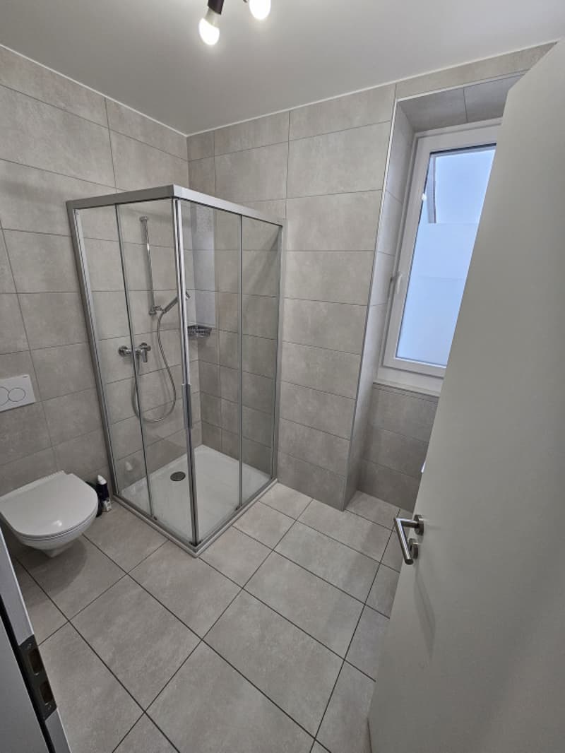 Appartement indépendant de 3 pièces en triplex à Orny (5)