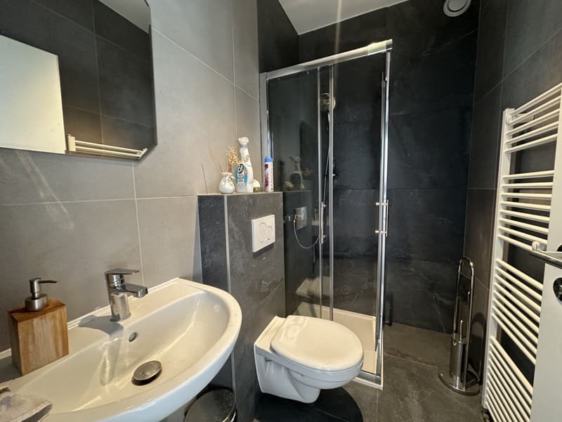 En exclusivité à Rolle - Villa individuelle avec grand jardin, proche gare (4)