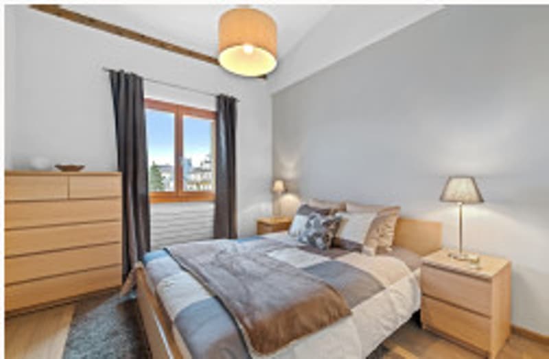 BEAUTIFUL FURNISHED 4.5-ROOM APARTMENT BY THE LAKE | NEAR THE NATIONS (3)