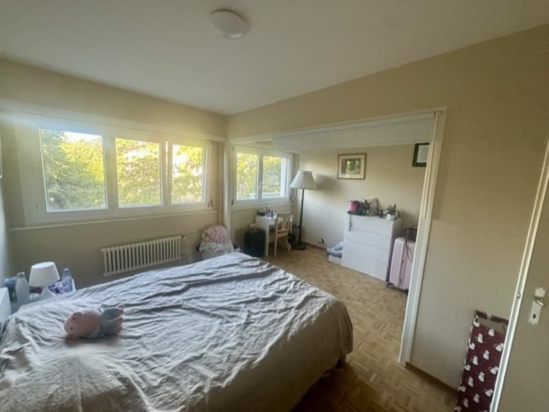 Appartement traversant lumineux, vue Alpes et lac. (5)