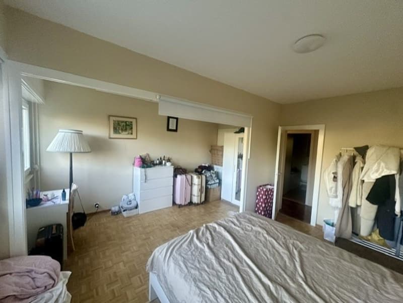 Appartement traversant lumineux, vue Alpes et lac. (4)