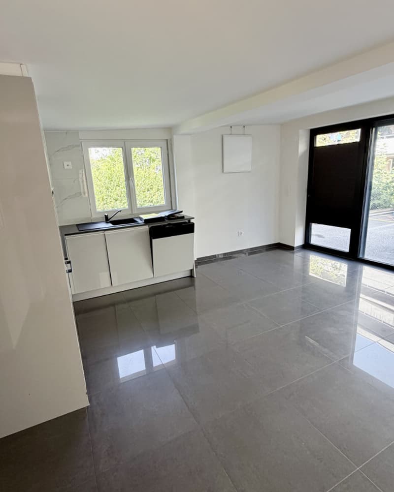 Charmant appartement de 2 pièces rénové au coeur de Fribourg (8)