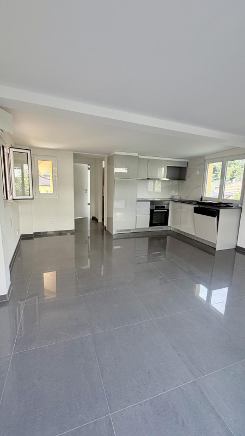 Charmant appartement de 2 pièces rénové au coeur de Fribourg (1)