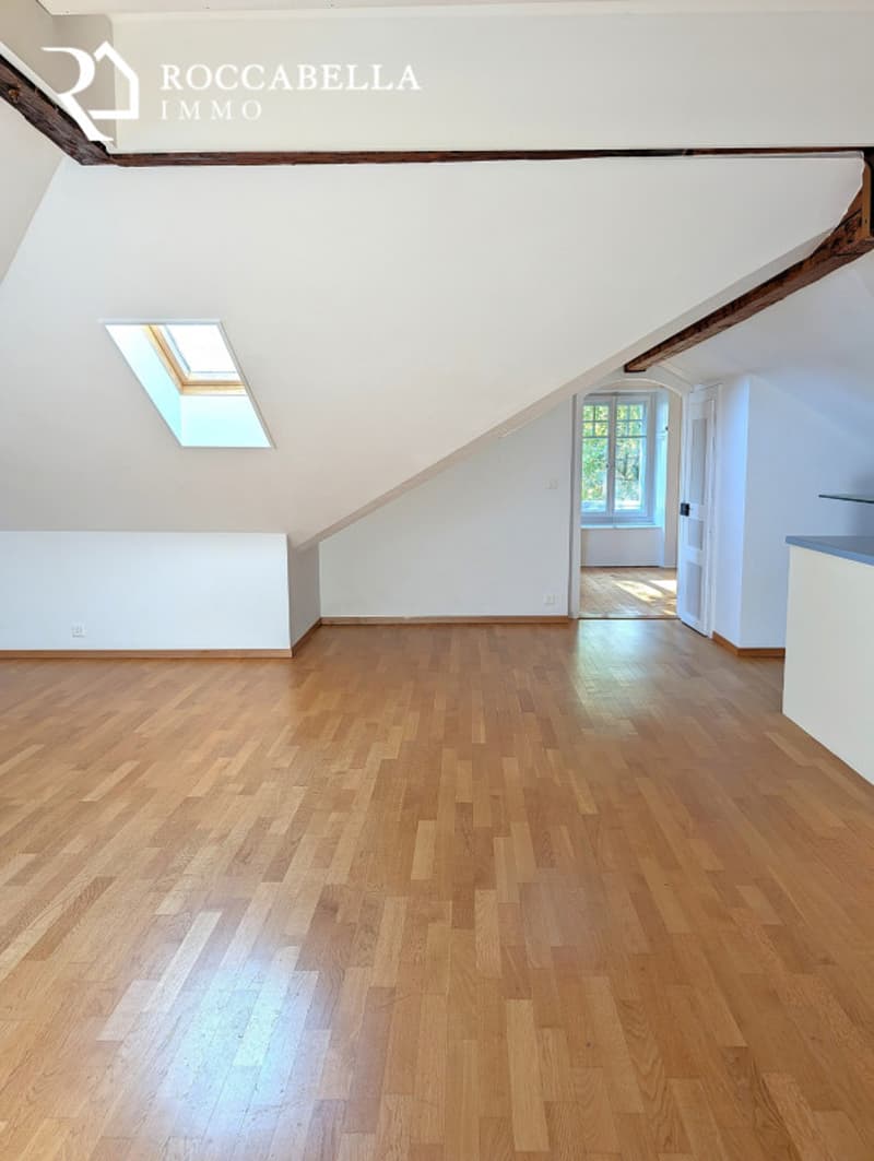 Magnifique duplex mansardé, charme et caractère au sein d'une demeure de maître (3)