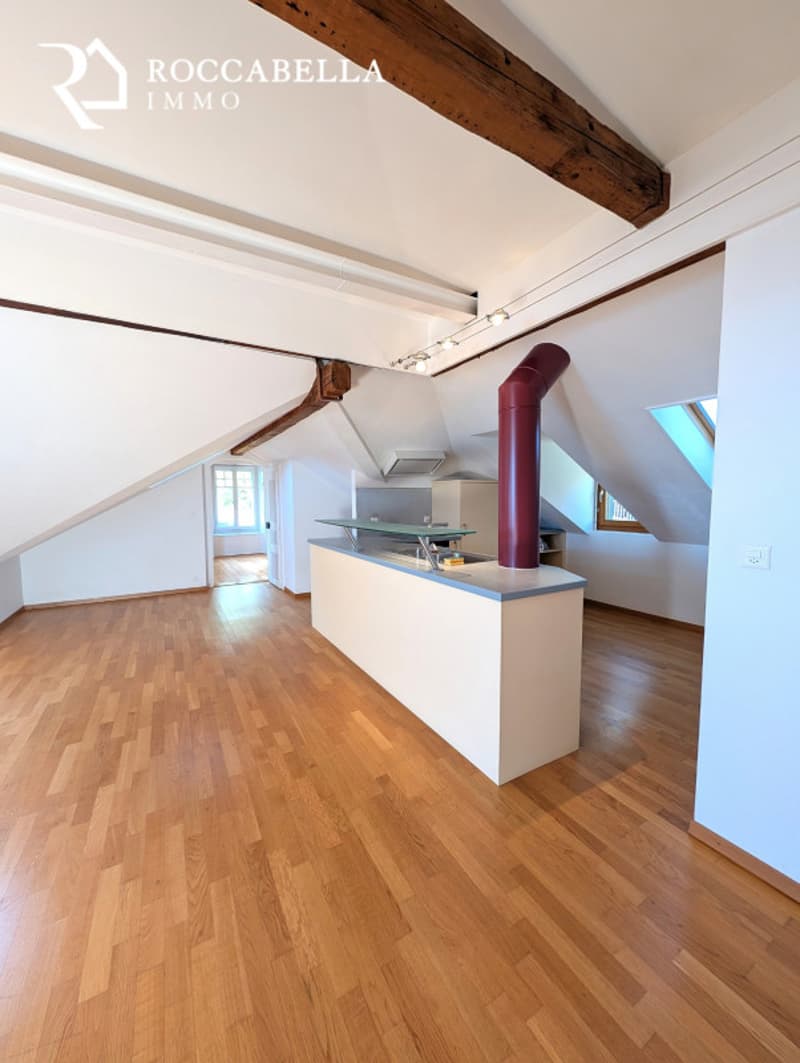 Magnifique duplex mansardé, charme et caractère au sein d'une demeure de maître (4)