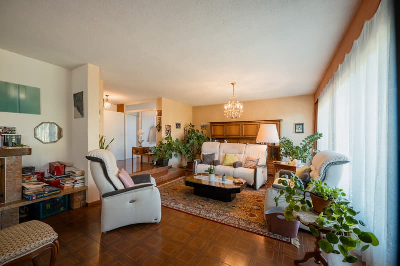 EXCLUSIVITE IMMO2Z : Villa individuelle de 6.5 pces avec appartement indépendant (5)