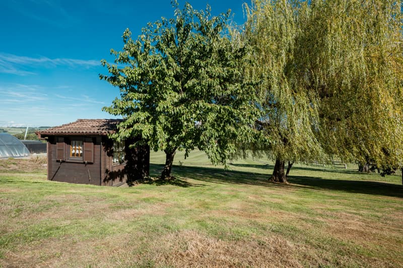 EXCLUSIVITE IMMO2Z : Villa individuelle de 6.5 pces avec appartement indépendant (10)