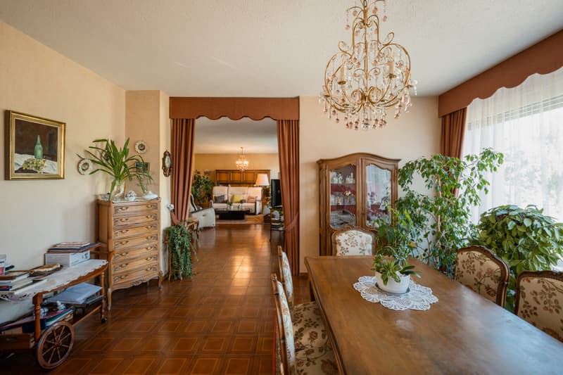 EXCLUSIVITE IMMO2Z : Villa individuelle de 6.5 pces avec appartement indépendant (6)