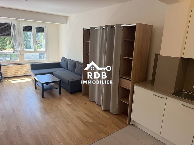 Appartement rénové de 2 pièces au 1er étage situé à Genève 1201 (1)