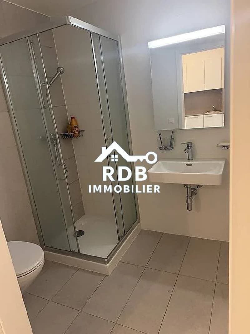Appartement rénové de 2 pièces au 1er étage situé à Genève 1201 (3)