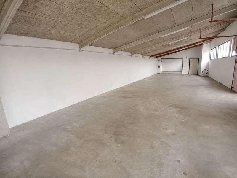 Immeuble de rendement à Courtételle - 5 app, garages et atelier (10)