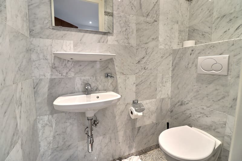Magnifique 3.5 pièces entièrement meublé aux acacias avec terrasse (7)