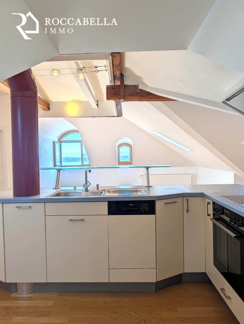 Magnifique duplex mansardé, charme et caractère au sein d'une demeure de maître (6)