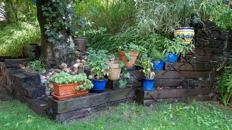 Détail jardin