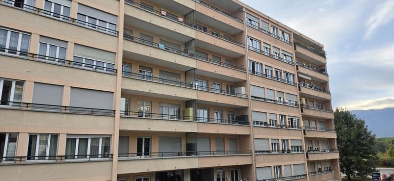 Agréable 4.5 pièces à Meyrin avec 2 balcons (7)