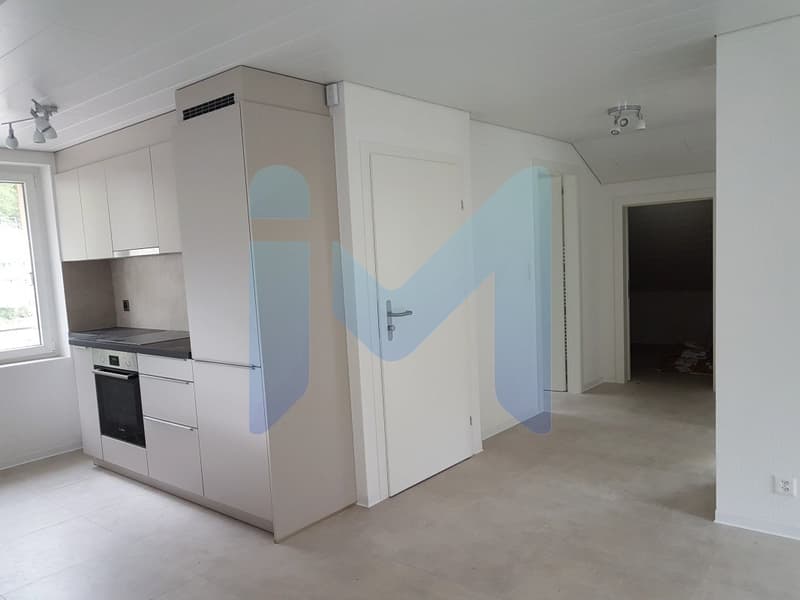 appartement 2.5 pces avec grande terrasse (5)